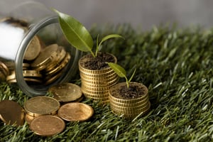 high-angle-two-stacks-coins-grass-with-jar-plants